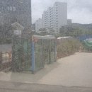 태성1리 이미지