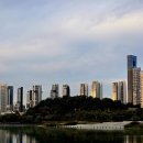 호수공원중앙수목원로 이미지