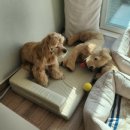 지킴메디 이미지