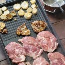 서브미션주짓수