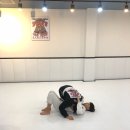 영덕주짓수