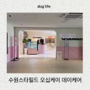 수원반려견유치원 반려견호텔 오십케이 네이버블로그