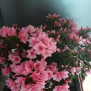 아트뷰호텔 이미지