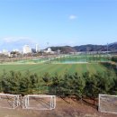 군민체육공원 이미지