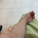 호수의료재단 이미지