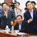행진 - 강서구 | 행진