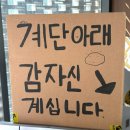 4256 | 강릉 포테이토교 강릉신당 후기｜감자신부터 감자굿즈샵까지