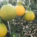 상읍농장 이미지