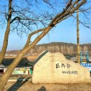 요셉동물병원 네이버블로그