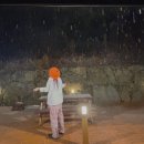 옥희네칼국수 | 서귀포 천지연폭포 바다낚시 광명호 춘식이와옥희 해일리카페 성산일출봉 동글락바삭치킨 원조보말칼국수