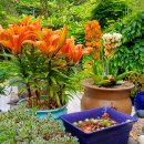 청향소림산장 이미지