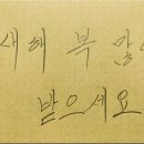 삼성태권도 이미지