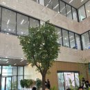 석남도서관 자유열람실 | 대구도서관 개관! 위치·열람실·주차·아이랑 방문 추천 후기까지 총정리