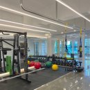 플레이 돔 이미지