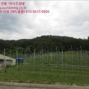 막골천 이미지