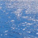 둘레길관광농원 | 속초 영랑호 수윗길 둘레길 애견동반 여행 후기