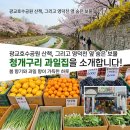국민은행 파리공원지점 옆 | 광교호수공원 산책 봄 향기 가득한 길목에서 만난 보물창고, [청개구리 과일집]