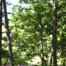 숲속다람쥐펜션 이미지