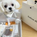 살롱드 오픈주 이미지