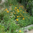 카톨릭병원 이미지