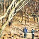 검단산~남한산 종주 (약18km 7시간) 이미지