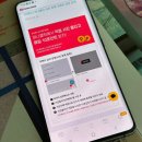 퍼니주니 이미지