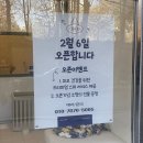 모모펫 | 수원애견미용실 펫모모 가위컷 솔직 후기