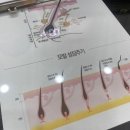 염색.두피 노원점