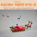 TOY BOX(토이박스) | 테슬라 산타모드 호호호 하면 생기는 일