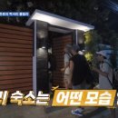 풀라이프투어