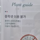 플랜트스터디카페원주반곡라운지 네이버블로그