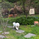 선물같은 하루 이미지