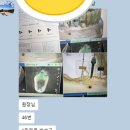 (주)오스템 | 임플란트 6개 네비게이션·무절개로 식립하기 (서울더굿모닝치과 광명사거리 오스템 원가이드 식립 과정)