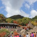삼성궁 이미지