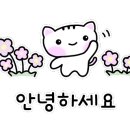 더락식향950목포본점 이미지