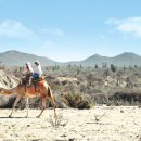 지상낙원 이미지