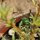 다온튼튼정형외과의원 이미지