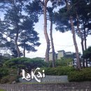 토토 노래연습장 | 강릉 여행 숙소 추천 경포해변 라카이 샌드파인