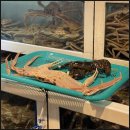 룸할인마트 이미지