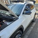 코끼리세차장 이미지