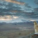 부자 행정사사무소 이미지