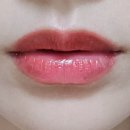 젤리그루밍 이미지