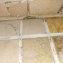 달맞이길 35 이미지