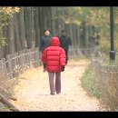 사임당로 이미지