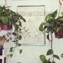 여주-0704 이미지