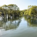 예당호느린호수길 이미지
