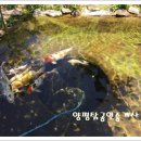 탐나는부동산중개 이미지