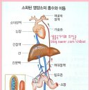아마레필라테스