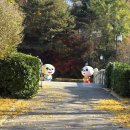 웨딩스쿨 결혼 | 노빠꾸 inf"P"의 6개월만에 결혼하기 (5편: 근화원 계약후기+부산 셀프 야외스냅)