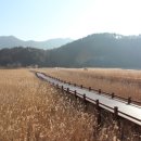 순천만 생태펜션 이미지